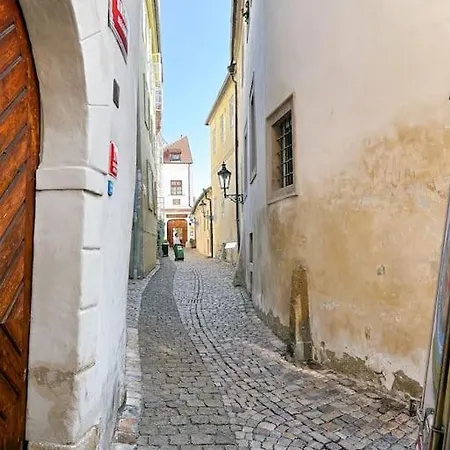 Apartment 18th Century Under Castle Prag